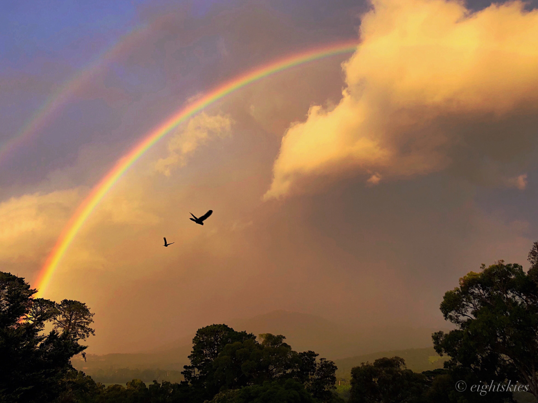 TRY TO REACH THE END OF RAINBOW : SEE IF YOU CAN AND IF NOT TRY TO ANSWER US VIA OUR MAIL R.SAHU.2K17@GMAIL.COM